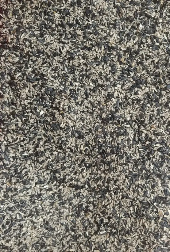 WhatsApp Image 2025-09-11 at 12.23.14 PMss.webp