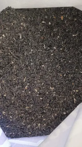 Sunflower Seeds
